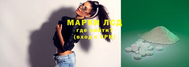 стафф Заволжье
