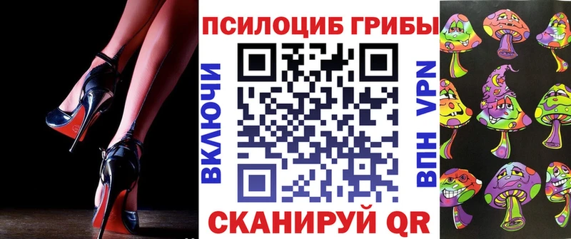 купить наркотики цена  Калачинск  Галлюциногенные грибы Cubensis 
